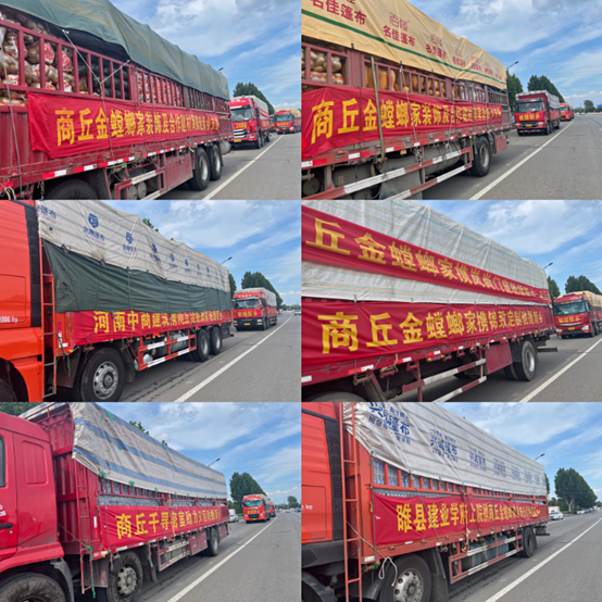 首页- 英国立博ladbrokes公司官网